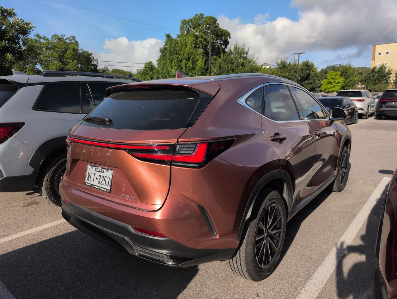 2025 Lexus NX 250 Premium