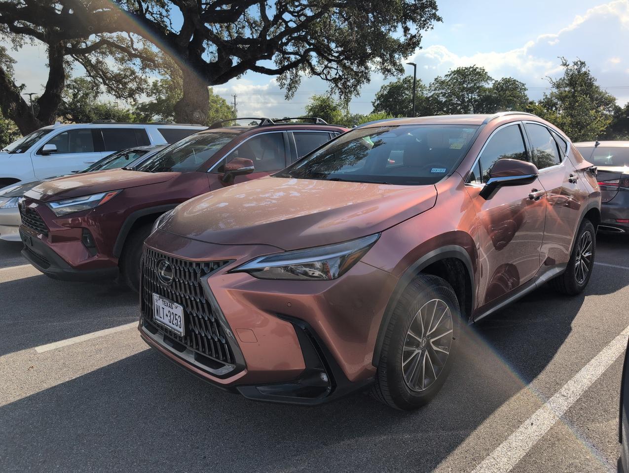 2025 Lexus NX 250 Premium