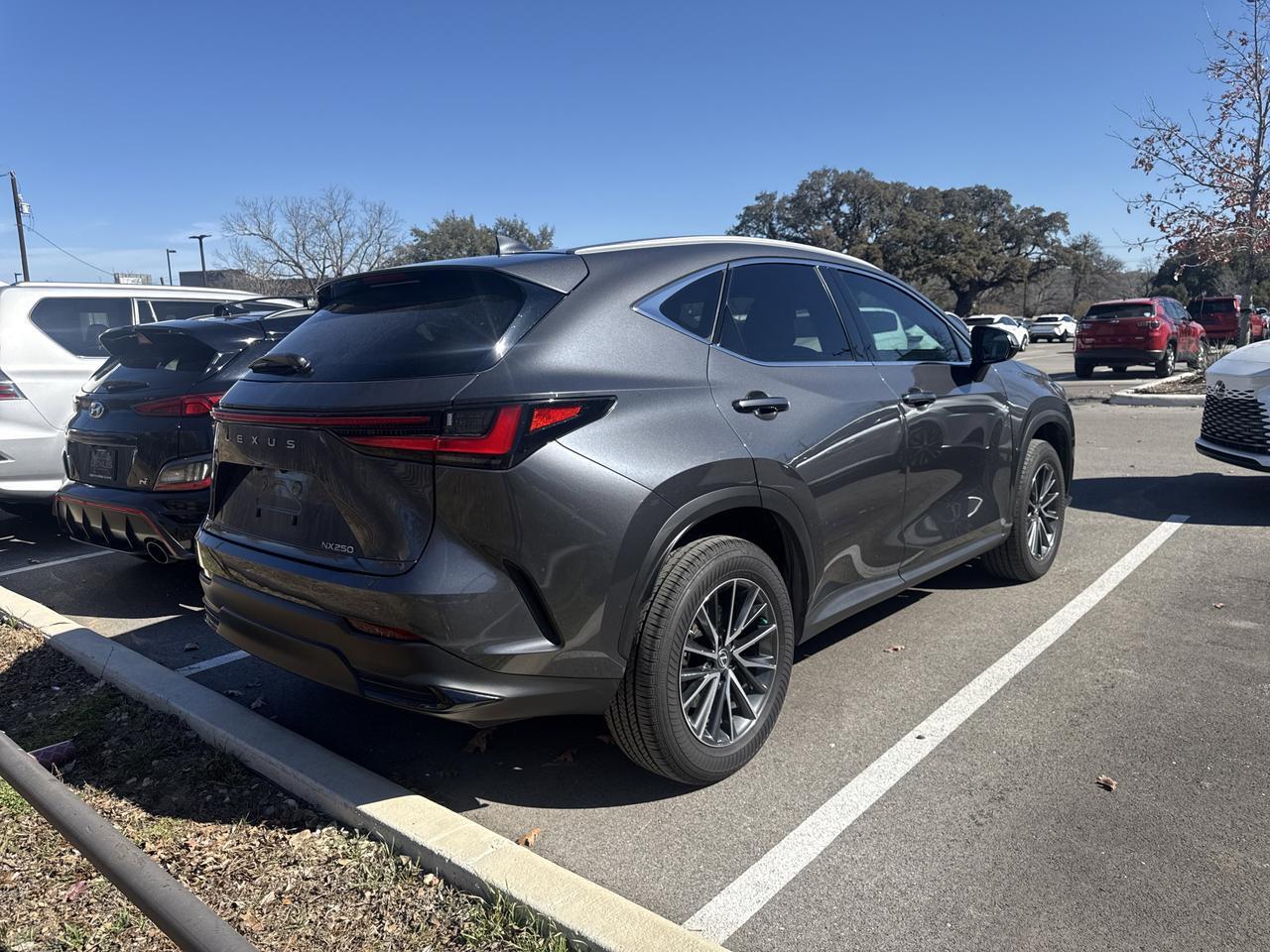 2025 Lexus NX 250 Premium