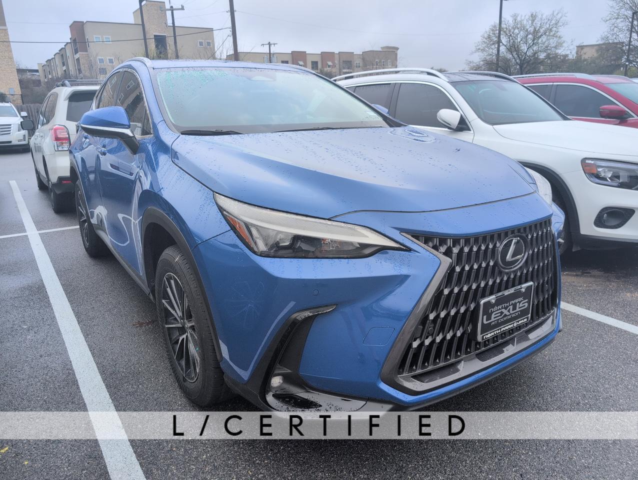 2025 Lexus NX 250 Premium