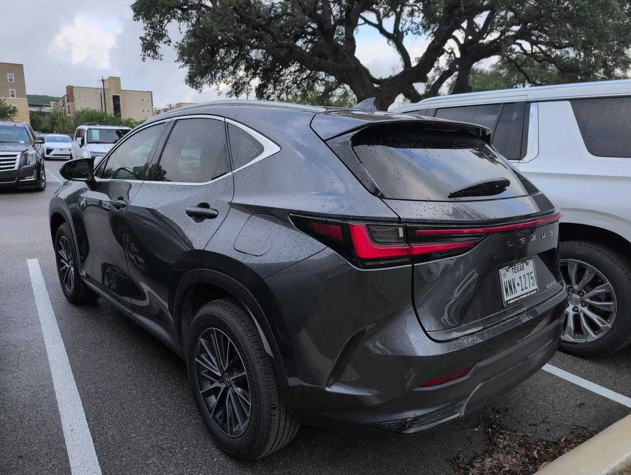 2025 Lexus NX 250 Premium San Antonio TX
