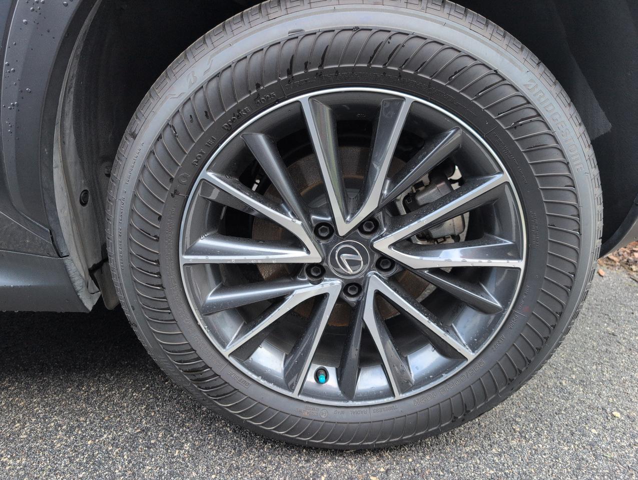 2025 Lexus NX 250 Premium San Antonio TX