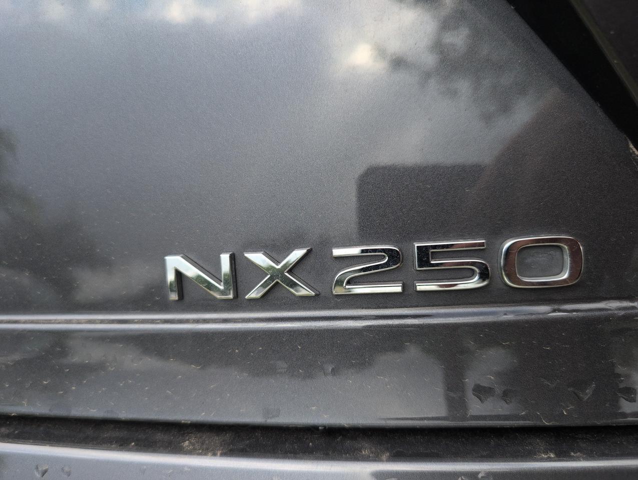 2025 Lexus NX 250 Premium San Antonio TX
