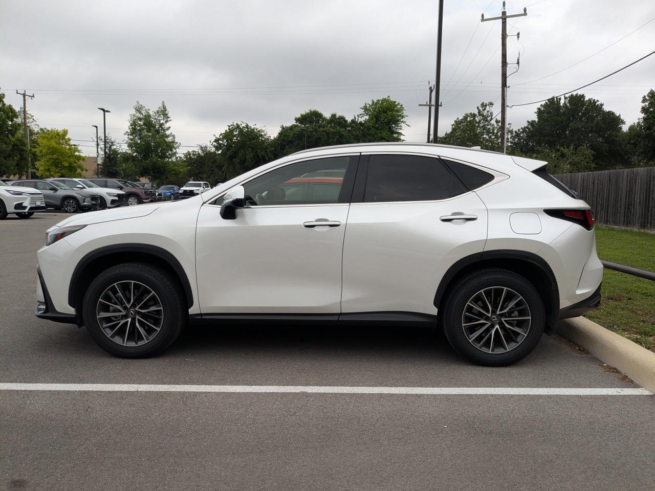 2025 Lexus NX 250 Premium San Antonio TX