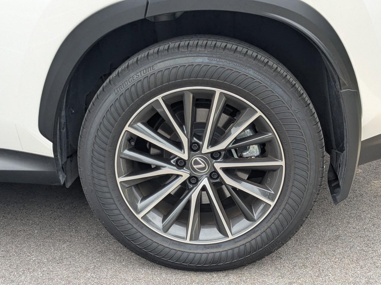 2025 Lexus NX 250 Premium San Antonio TX