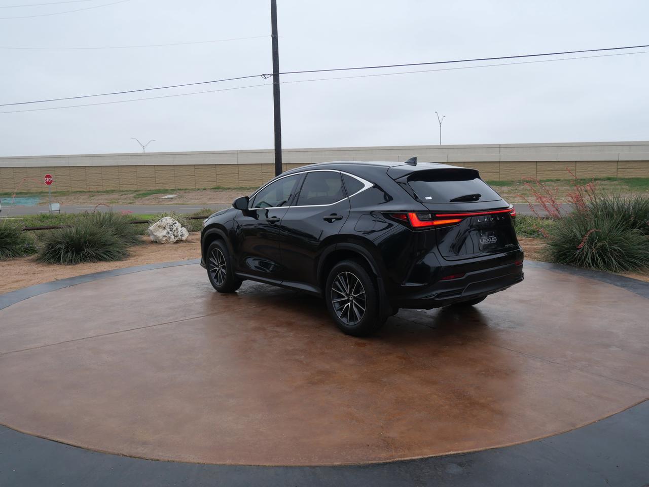 2025 Lexus NX 250 Premium San Juan TX