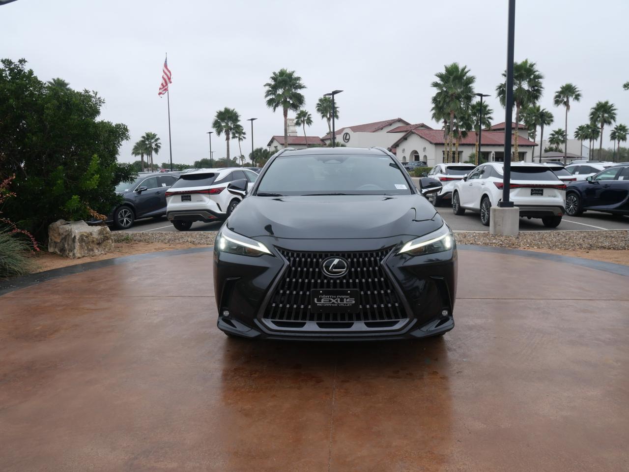 2025 Lexus NX 250 Premium San Juan TX