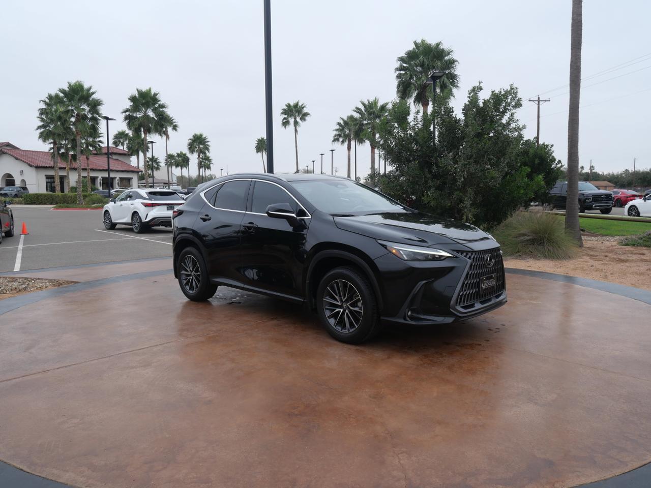 2025 Lexus NX
