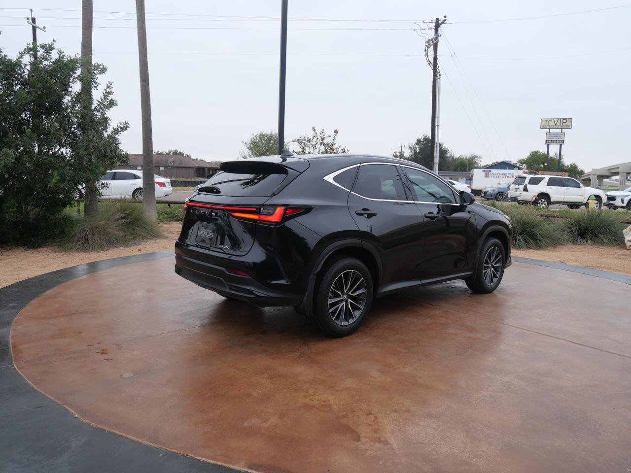 2025 Lexus NX 250 Premium San Juan TX