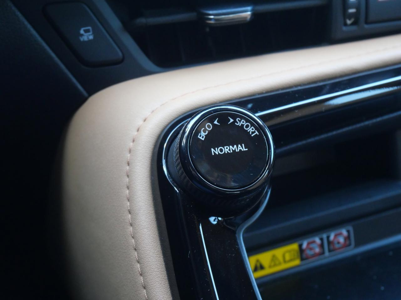 2025 Lexus NX 250 Premium San Juan TX