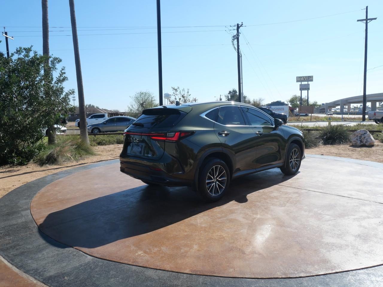 2025 Lexus NX 250 Premium