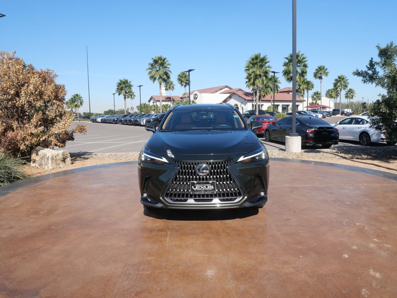2025 Lexus NX 250 Premium San Juan TX