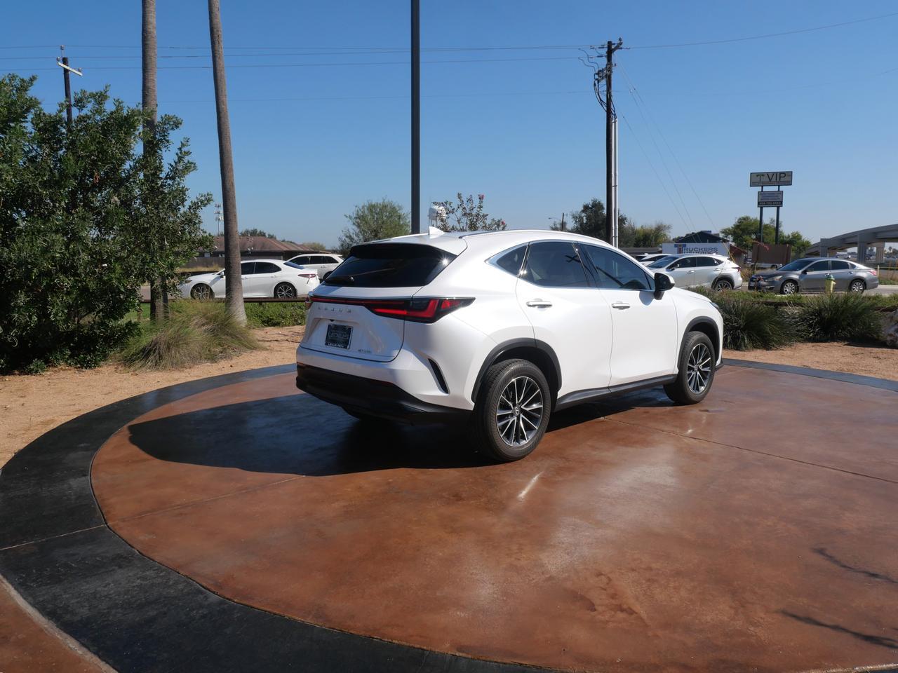 2025 Lexus NX 250 Premium