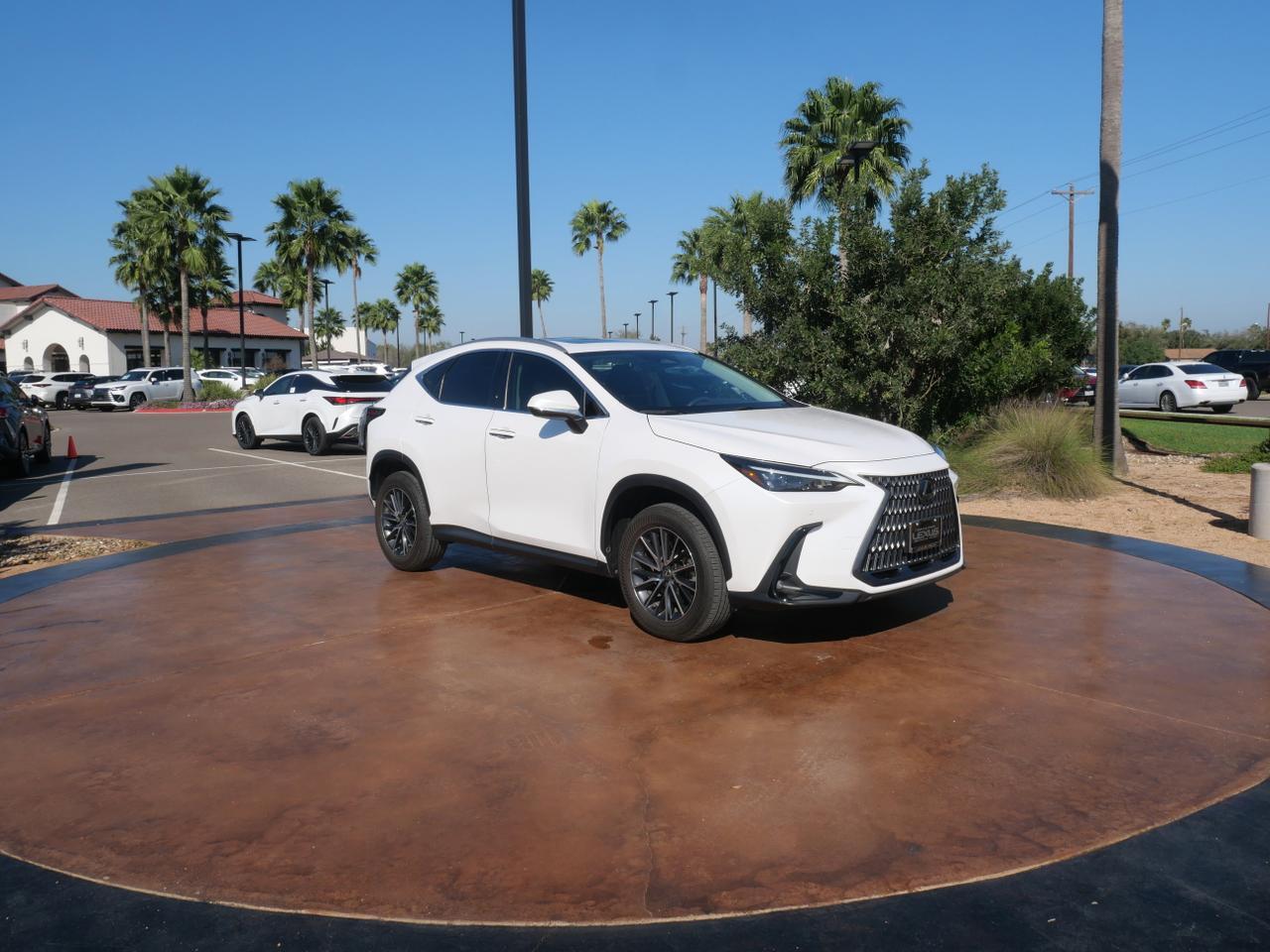 2025 Lexus NX