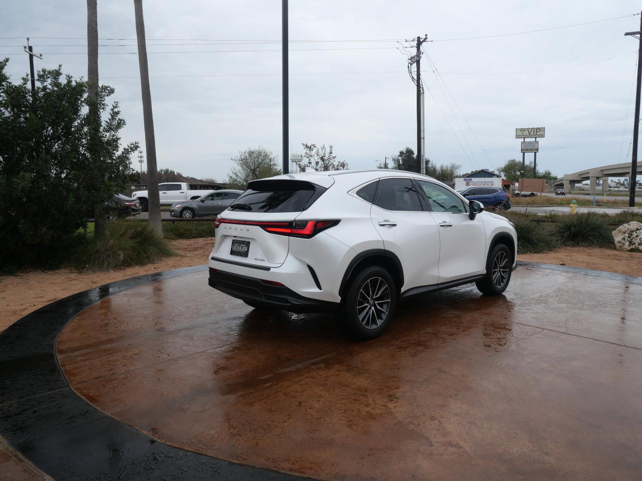 2025 Lexus NX 250 Premium