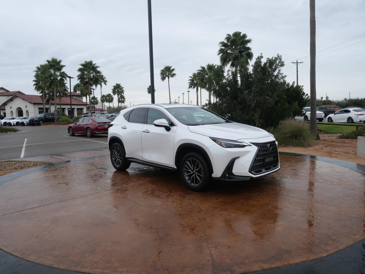 2025 Lexus NX 250 Premium