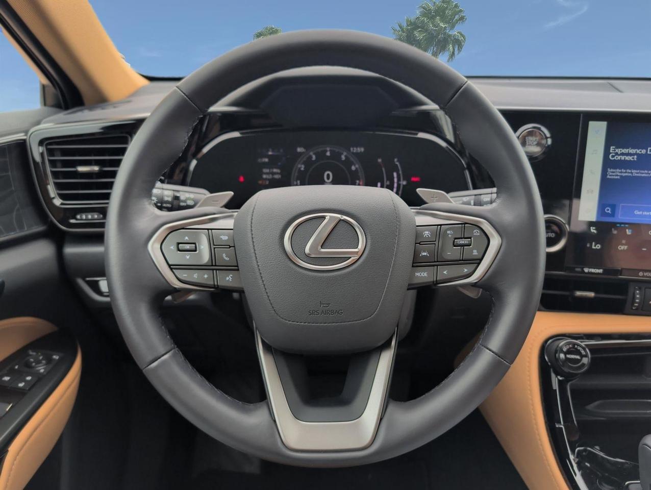 2025 Lexus NX 250 Premium San Juan TX