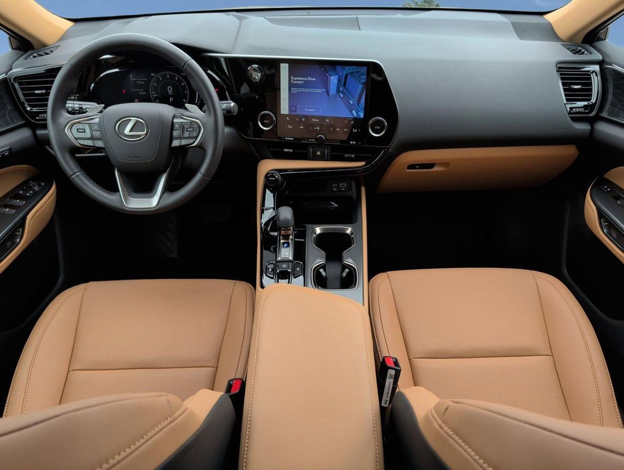 2025 Lexus NX 250 Premium San Juan TX