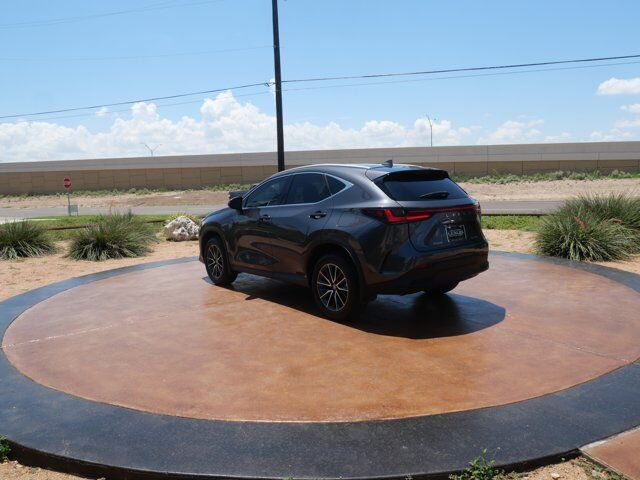 2025 Lexus NX 250 Premium San Juan TX