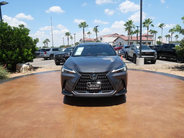2025 Lexus NX 250 Premium San Juan TX