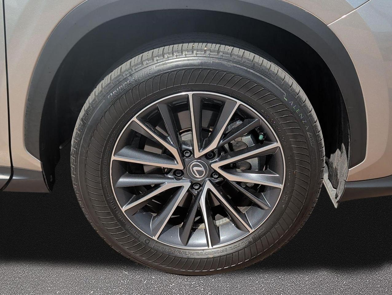 2025 Lexus NX 250 Premium San Juan TX