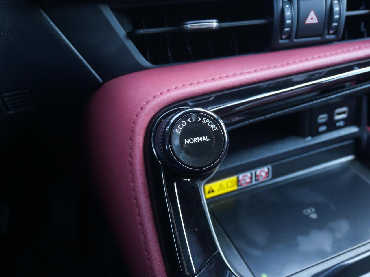 2025 Lexus NX 250 Premium San Juan TX