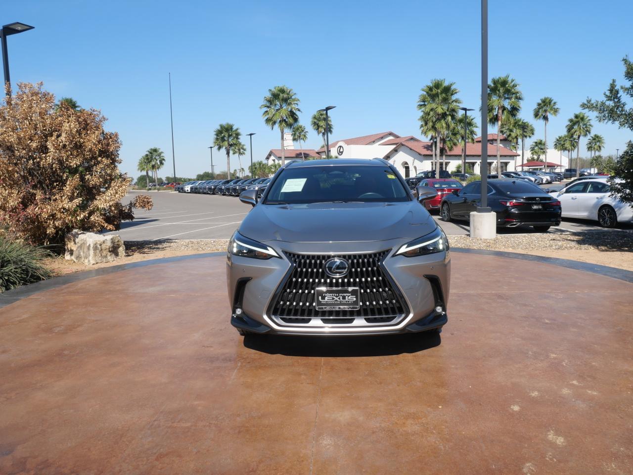 2025 Lexus NX 250 Premium San Juan TX