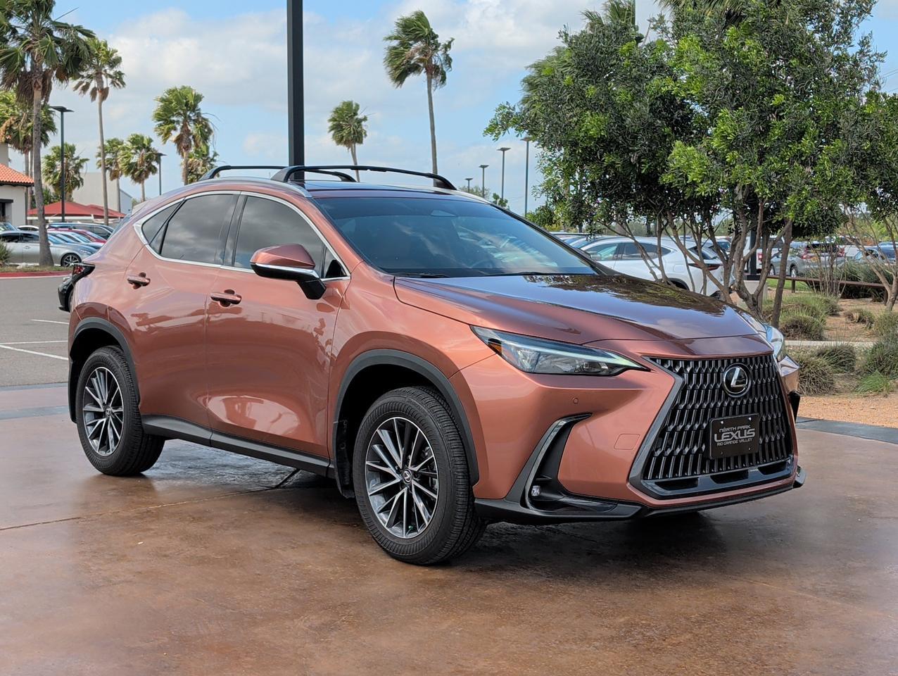 2025 Lexus NX