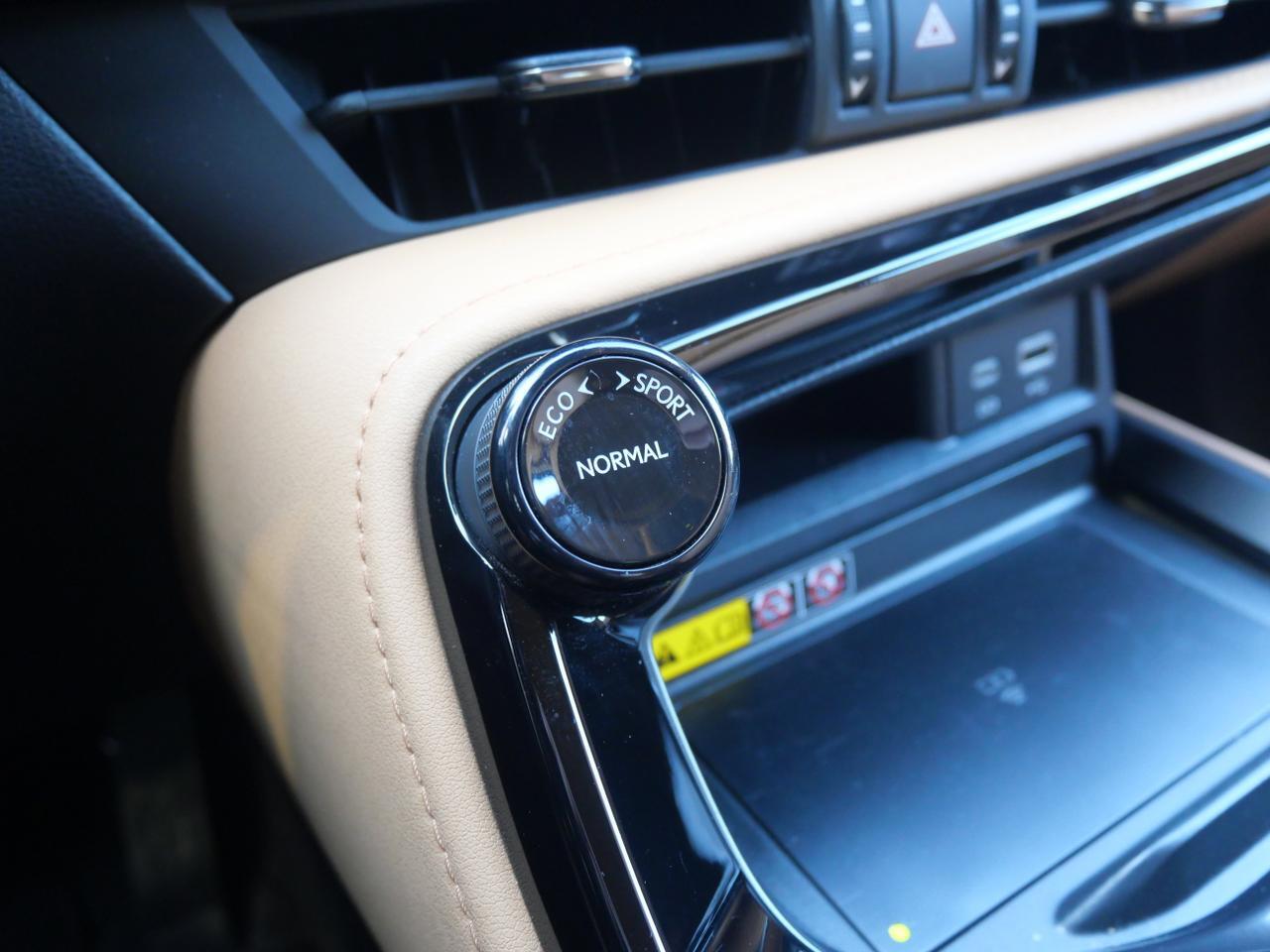 2025 Lexus NX 250 Premium San Juan TX