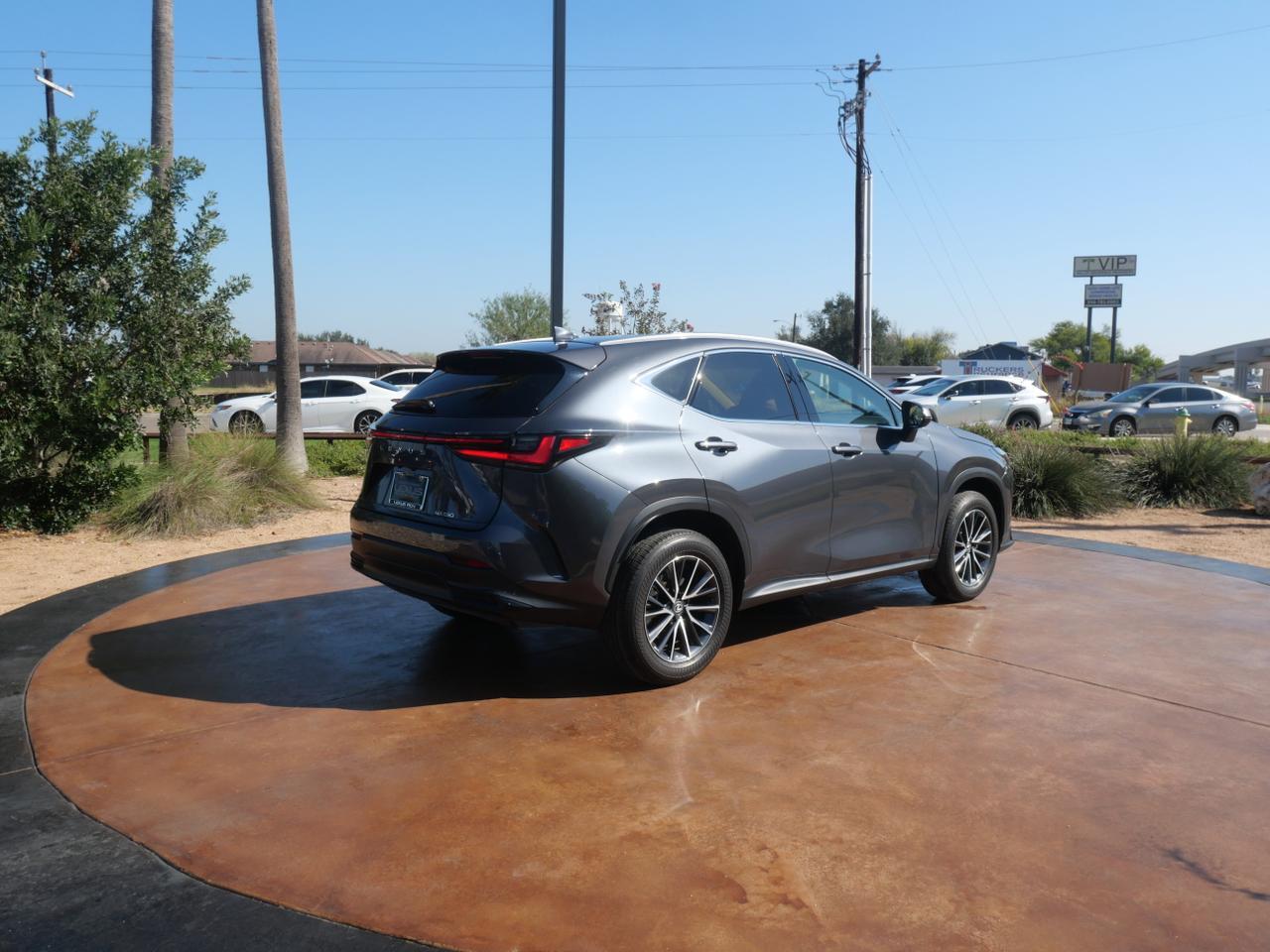 2025 Lexus NX 250 Premium