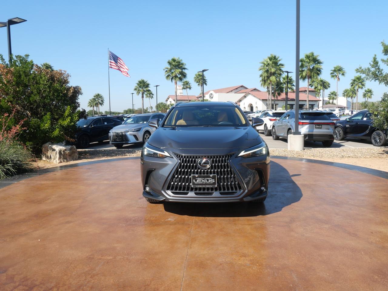 2025 Lexus NX 250 Premium San Juan TX