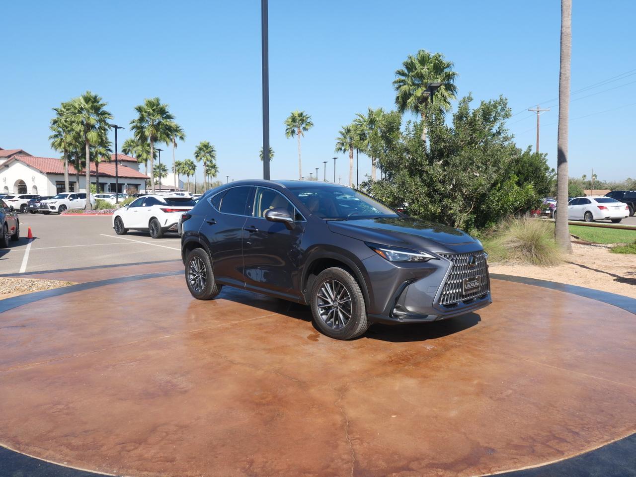 2025 Lexus NX 250 Premium