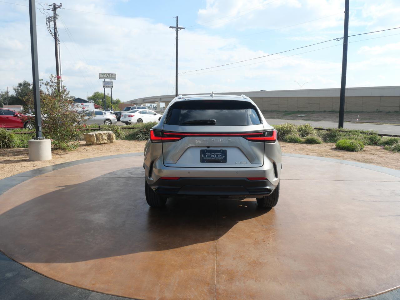 2025 Lexus NX 250 Premium