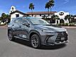 2025 Lexus NX 250 Premium