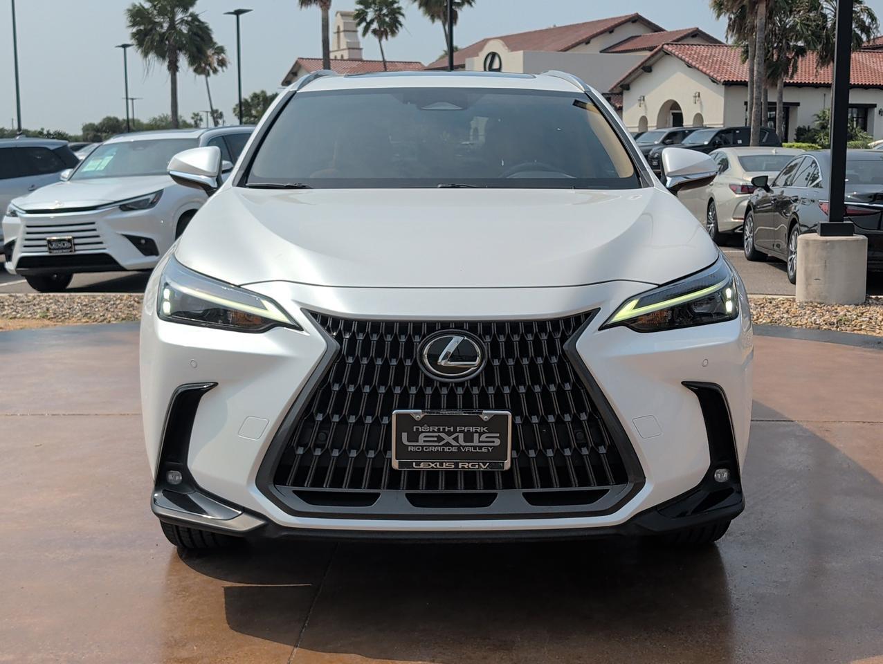 2025 Lexus NX 250 Premium San Juan TX