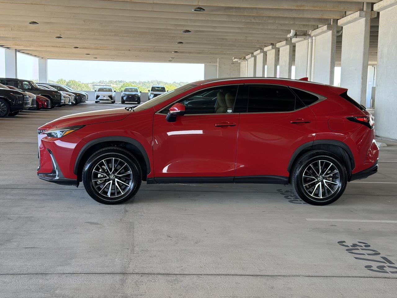 2025 Lexus NX