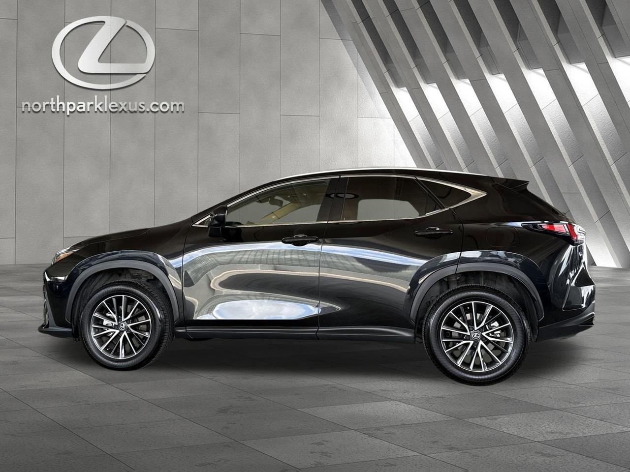 2025 Lexus NX 250 Premium