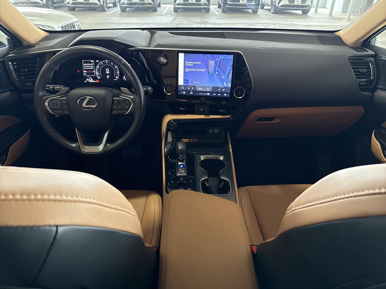 2025 Lexus NX 250 Premium San Antonio TX