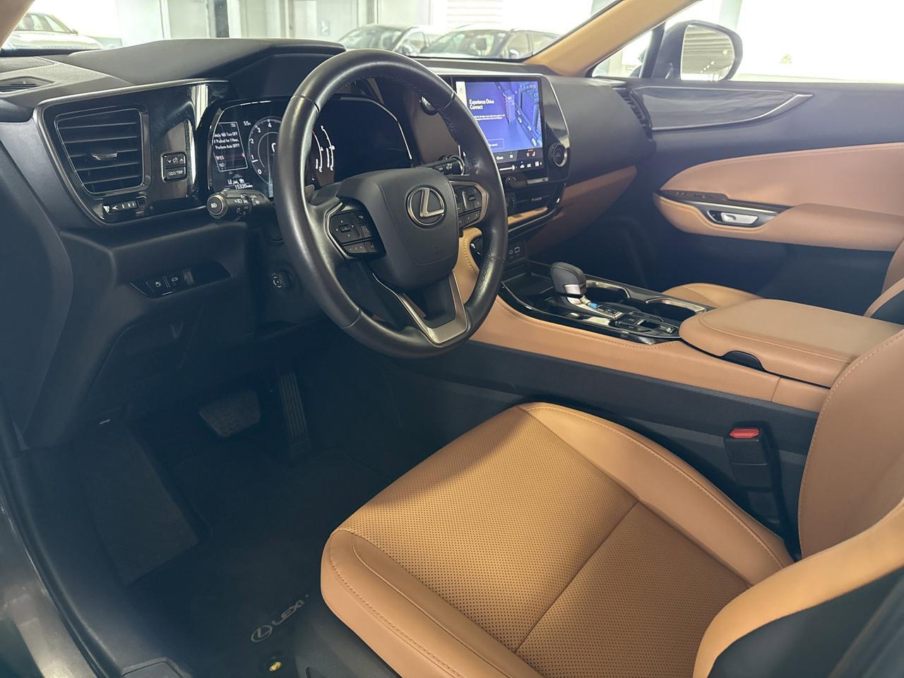 2025 Lexus NX 250 Premium San Antonio TX