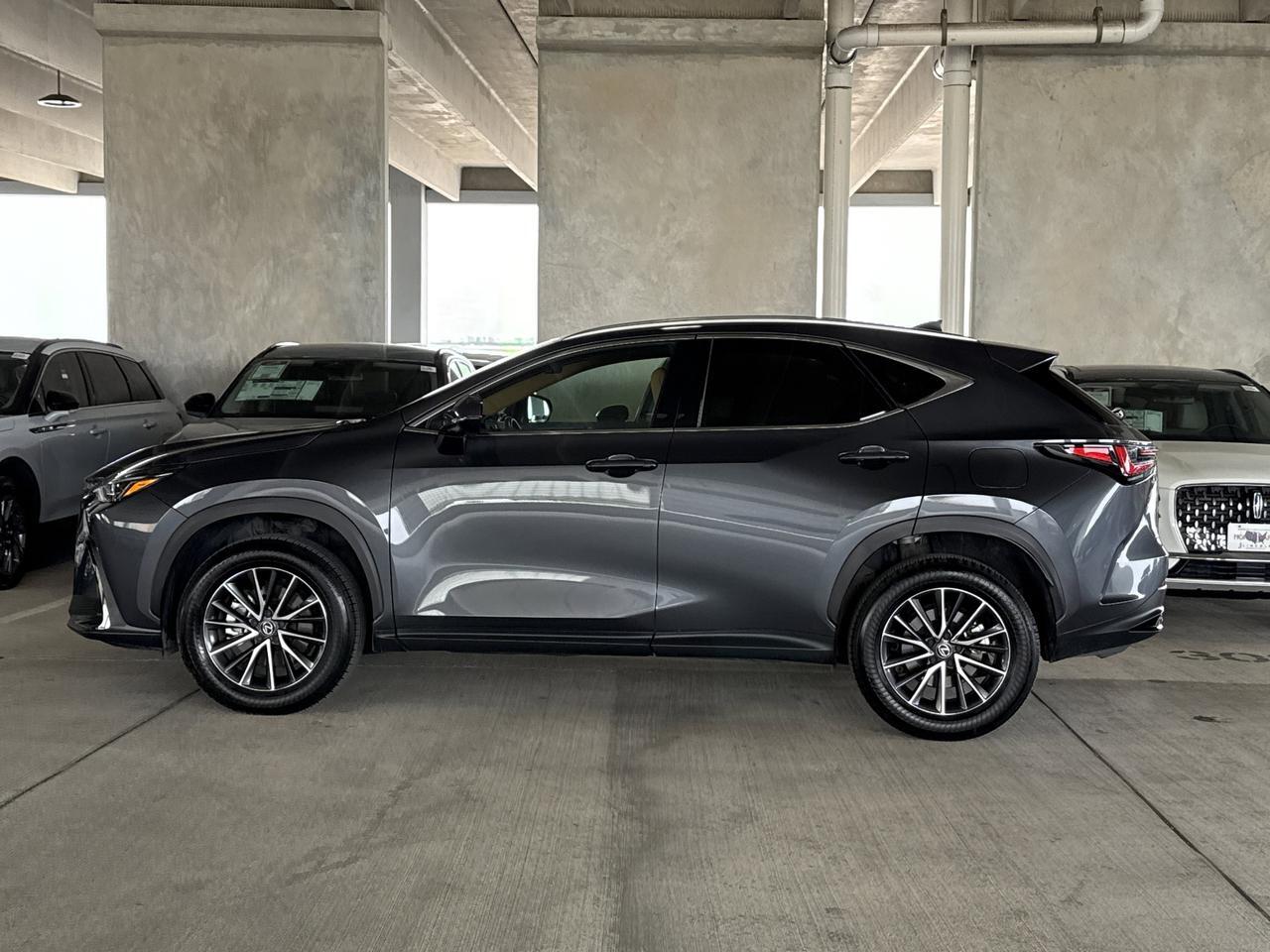 2025 Lexus NX