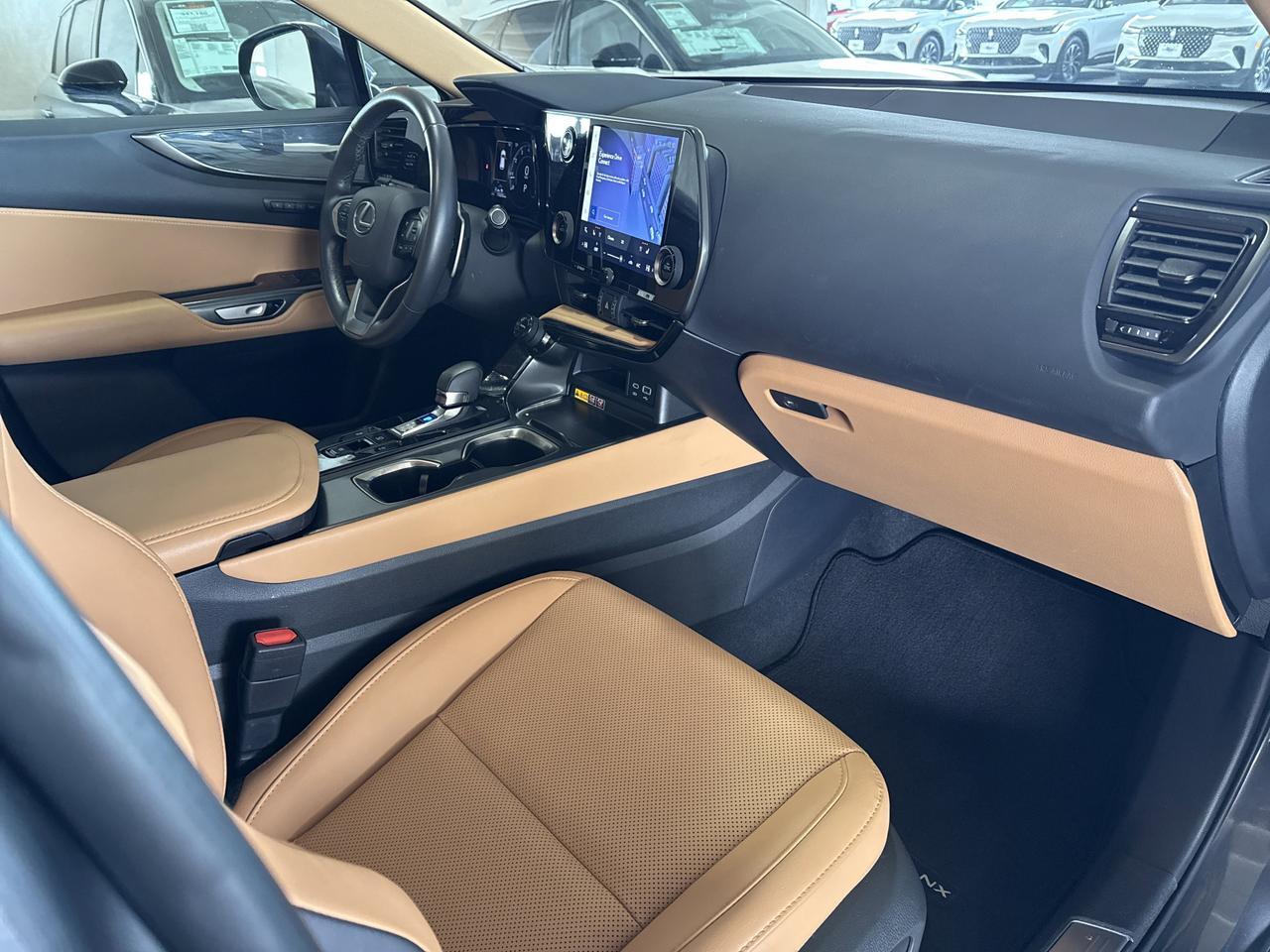 2025 Lexus NX 250 Premium San Antonio TX