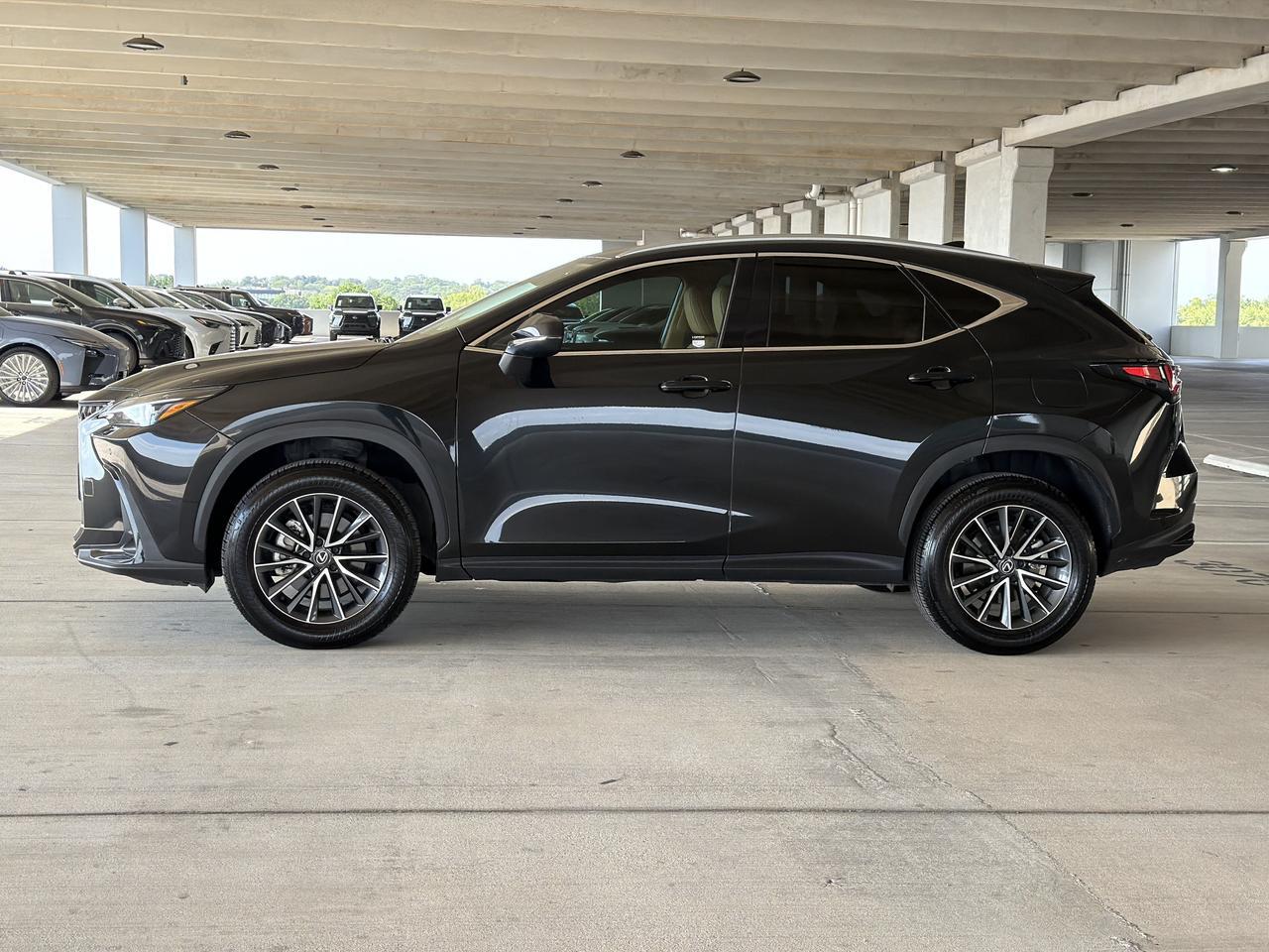 2025 Lexus NX