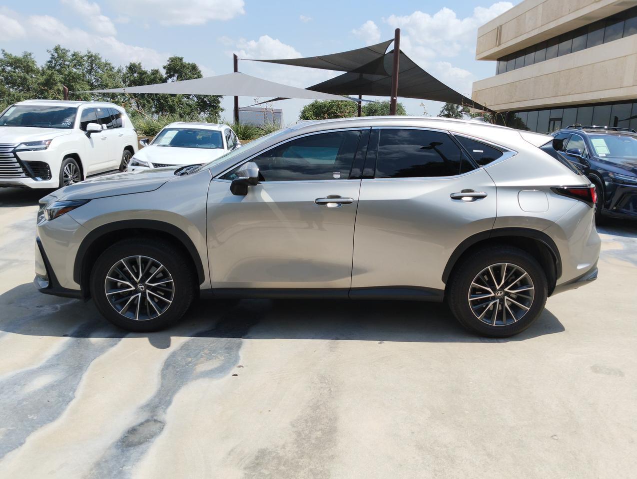 2025 Lexus NX