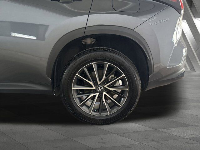 2025 Lexus NX 250 Premium San Antonio TX