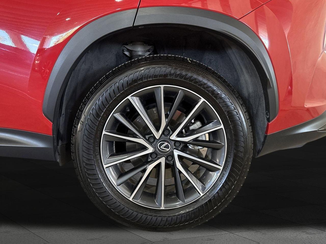 2025 Lexus NX 250 Premium San Antonio TX