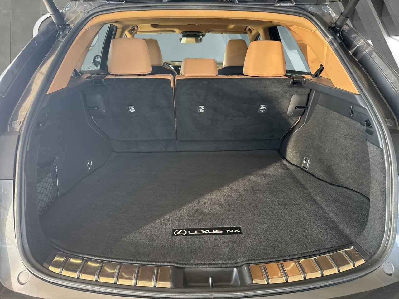 2025 Lexus NX 250 Premium San Antonio TX