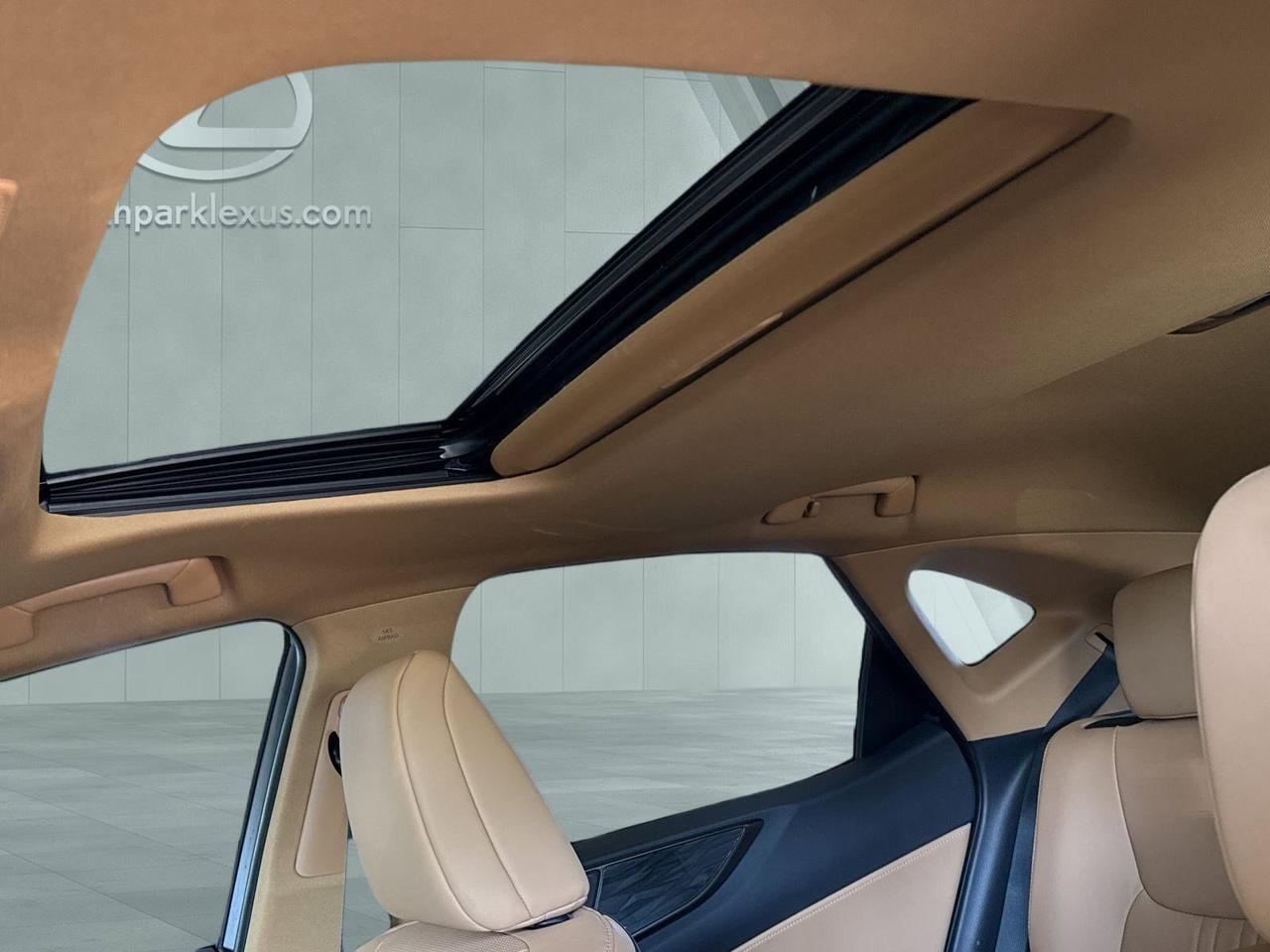 2025 Lexus NX 250 Premium San Antonio TX