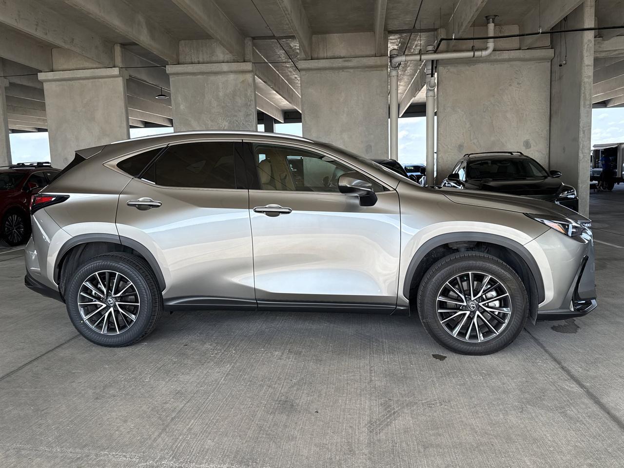 2025 Lexus NX 250 Premium San Antonio TX