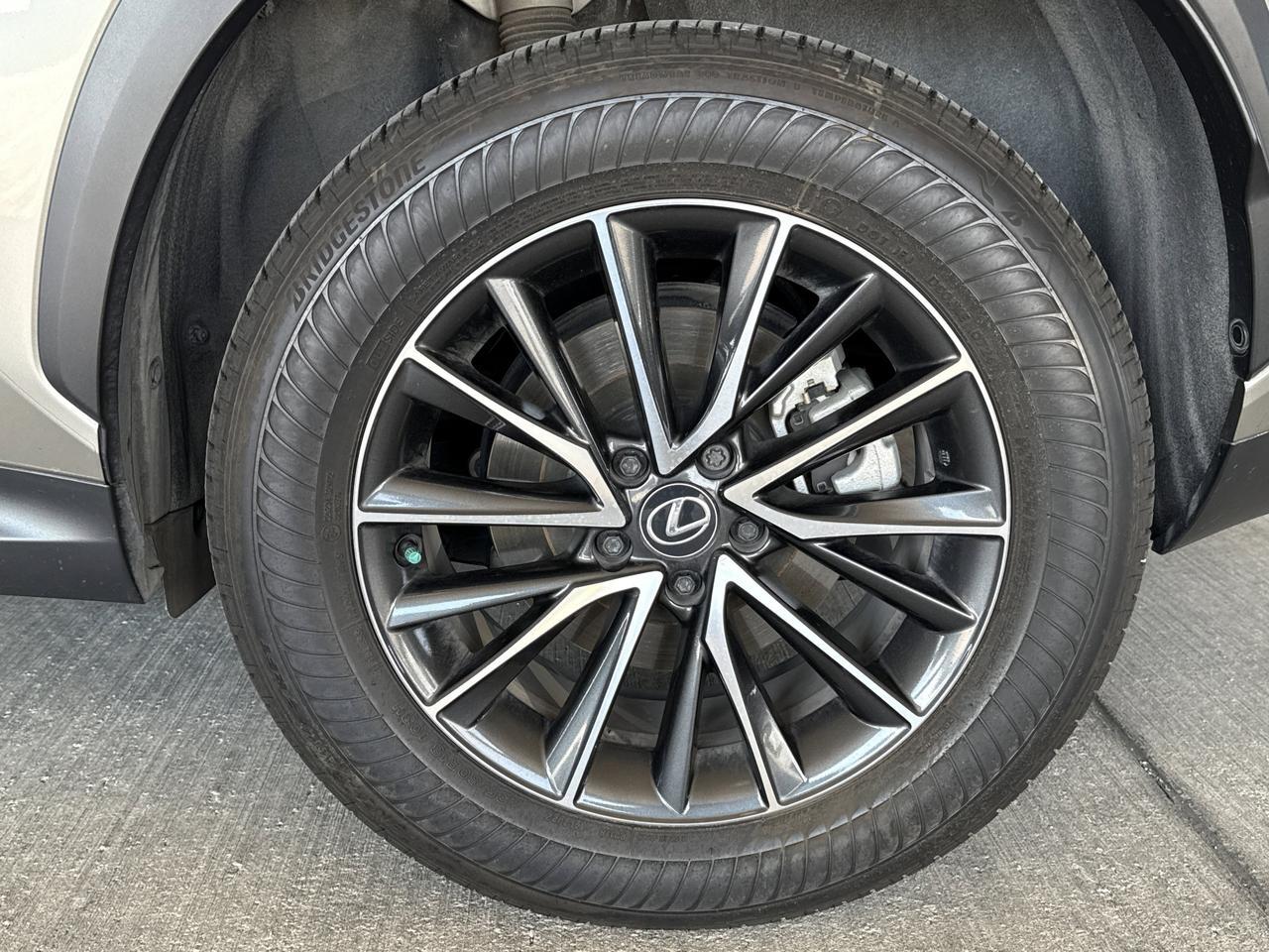 2025 Lexus NX 250 Premium San Antonio TX