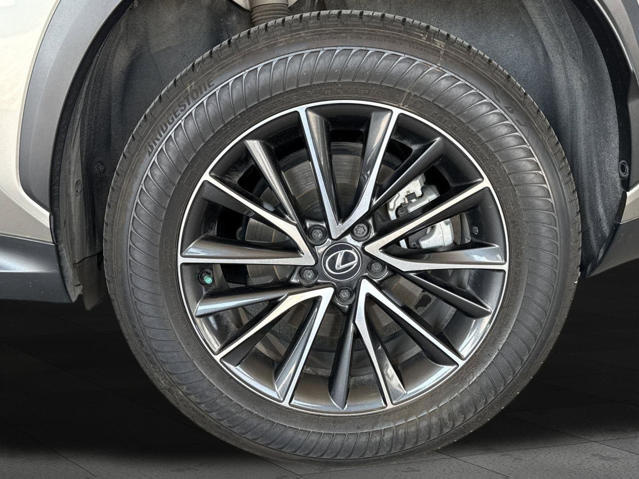 2025 Lexus NX 250 Premium San Antonio TX